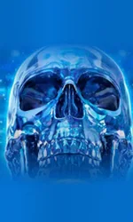 Crystal Skull