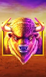 Buffalo King